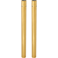 ARLEN NESS Fork Tube 49 mm Gold 121002