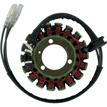 RICK'S MOTORSPORT ELECTRIC Stator Kawasaki 21201