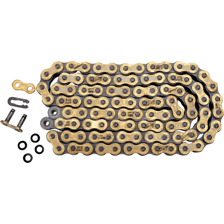 REGINA 520 Quad Drive Chain 98 Links 135QUAD/1009