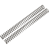 RACE TECH Fork Springs 0.49 kg/mm FRSP 434949