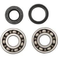 HOT RODS Crankshaft Bearings Yamaha