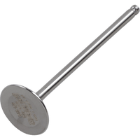 DEL WEST Intake Valve DWYZ250F1IV02