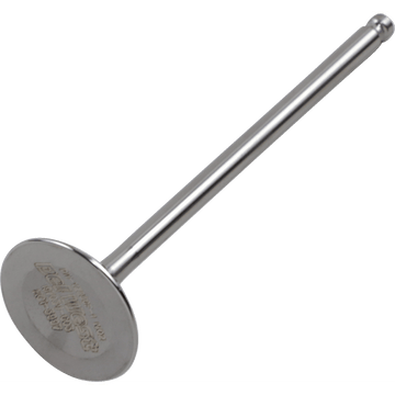 DEL WEST Intake Valve DWYZ250F1IV02