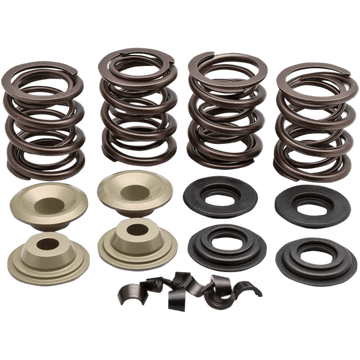 KIBBLEWHITE Valve Spring Kit