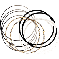 S&S CYCLE Ring Set