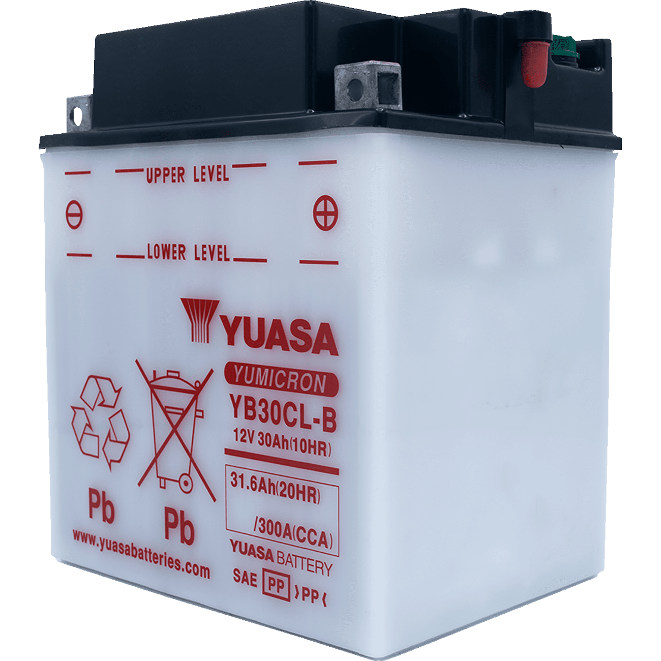 YUASA Battery YB30CL-B YUAM2230CTWN