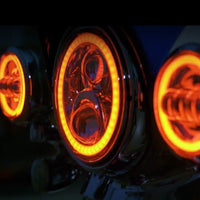 CUSTOM DYNAMICS 4.5" Passing Lamps Black PG45B