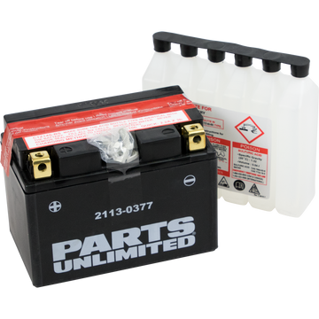 PARTS UNLIMITED AGM Battery YTZ14S-BS