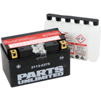 PARTS UNLIMITED AGM Battery YTZ10S-BS