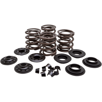 KIBBLEWHITE Valve Spring Kit