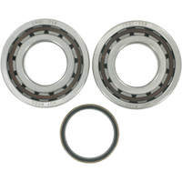 HOT RODS Crankshaft Bearings KTM K068