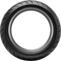 DUNLOP Tire Sportmax Roadsmart IV Rear 160/60ZR17 69W 45253302