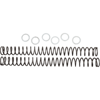 RACE TECH Fork Springs 0.38 kg/mm FRSP 444538