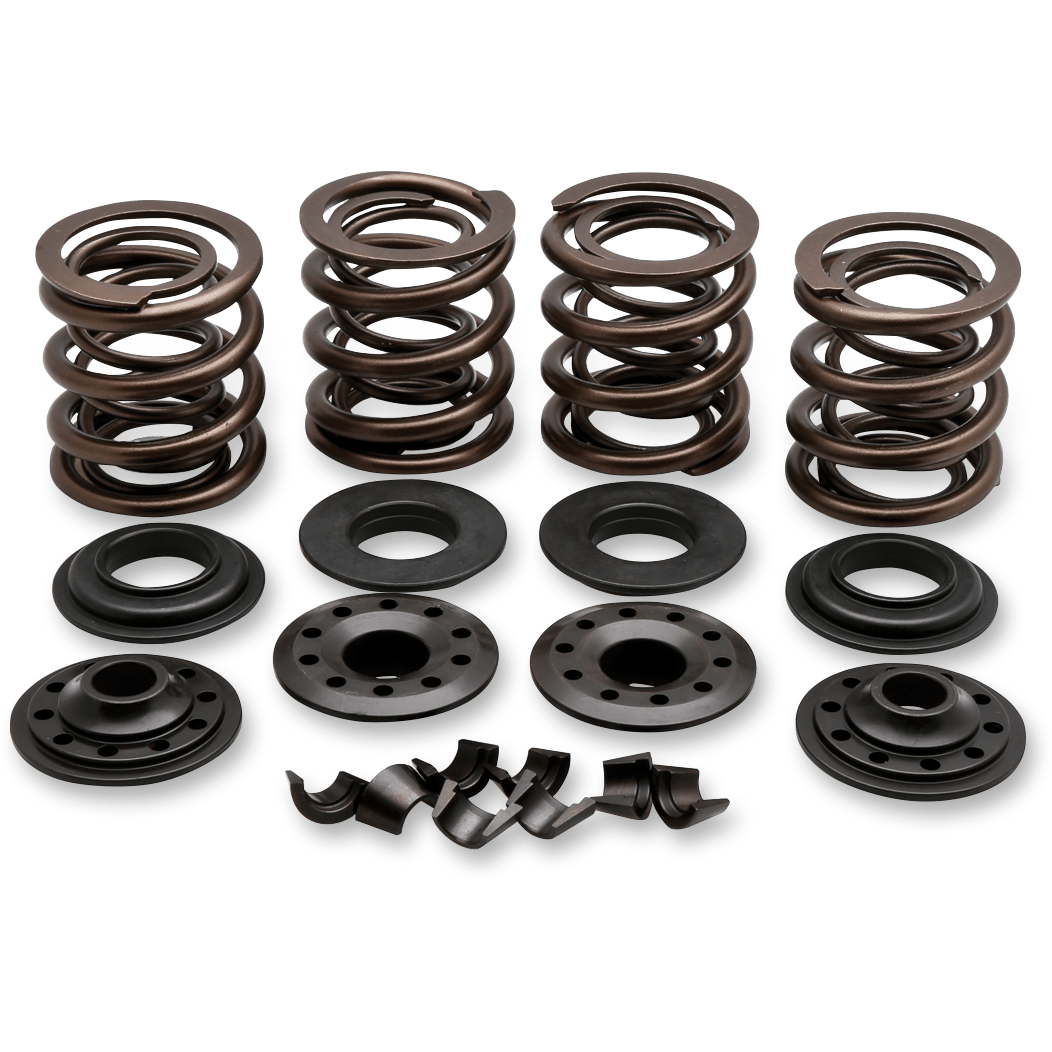 KIBBLEWHITE Valve Spring Kit