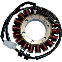 RICK'S MOTORSPORT ELECTRIC Stator Honda 21142