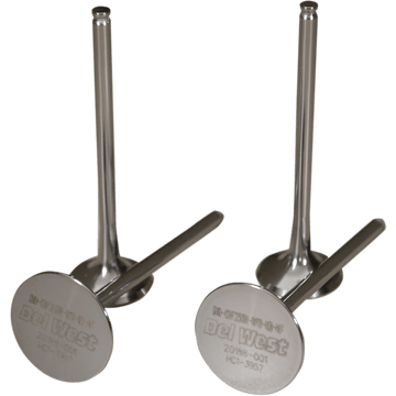 DEL WEST Intake Valves