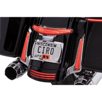 CIRO Taillight/License Plate Holder Chrome