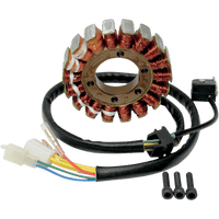 RICK'S MOTORSPORT ELECTRIC Stator Suzuki 21816