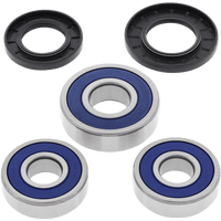 ALL BALLS Wheel Bearing Kit Rear