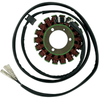 RICK'S MOTORSPORT ELECTRIC Stator Suzuki 21301