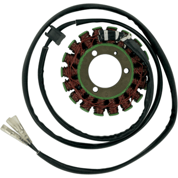 RICK'S MOTORSPORT ELECTRIC Stator Suzuki 21301