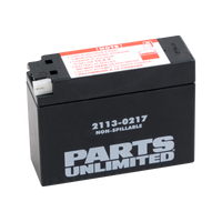 PARTS UNLIMITED AGM Battery YT4B-BS