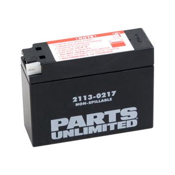 PARTS UNLIMITED AGM Battery YT4B-BS