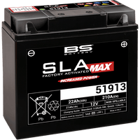 BS BATTERY Battery 51913 300860