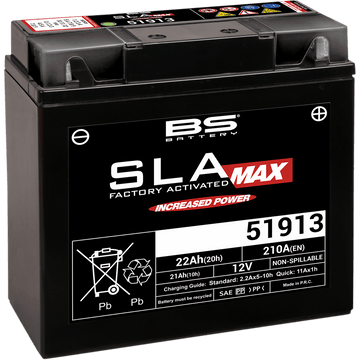 BS BATTERY Battery 51913 300860