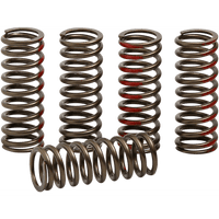 PRO CIRCUIT Clutch Springs CRF 250R