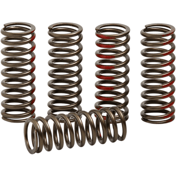 PRO CIRCUIT Clutch Springs CRF 250R