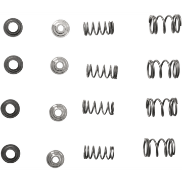 KIBBLEWHITE Spring Kit 3030015