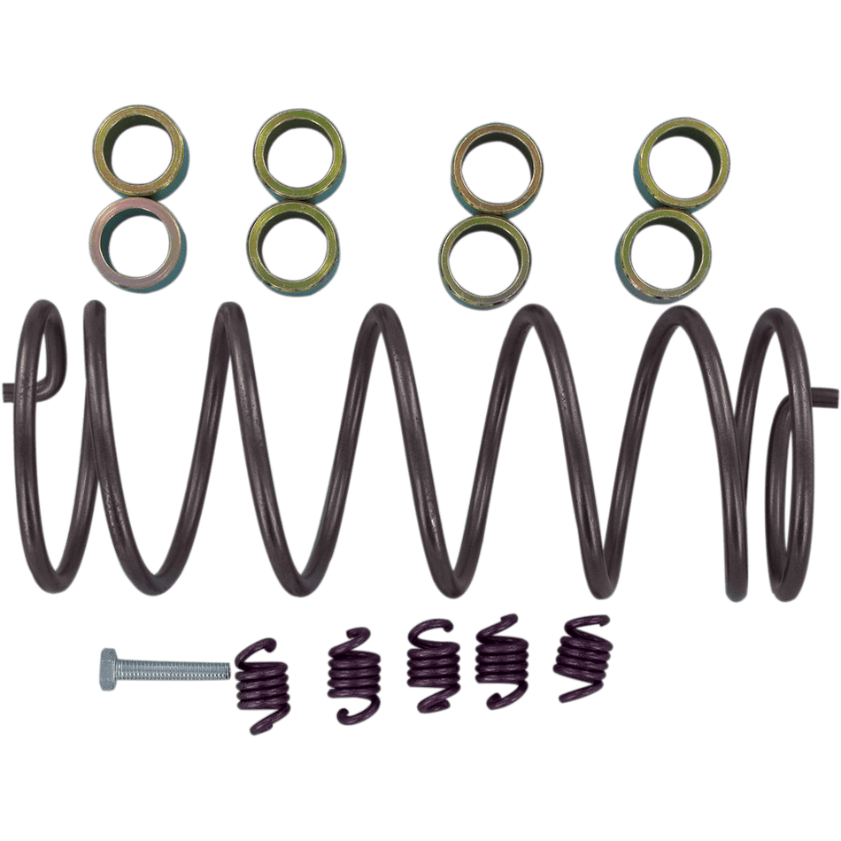 EPI Clutch Kit WE493005