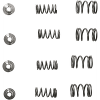 KIBBLEWHITE Spring Kit 3030085