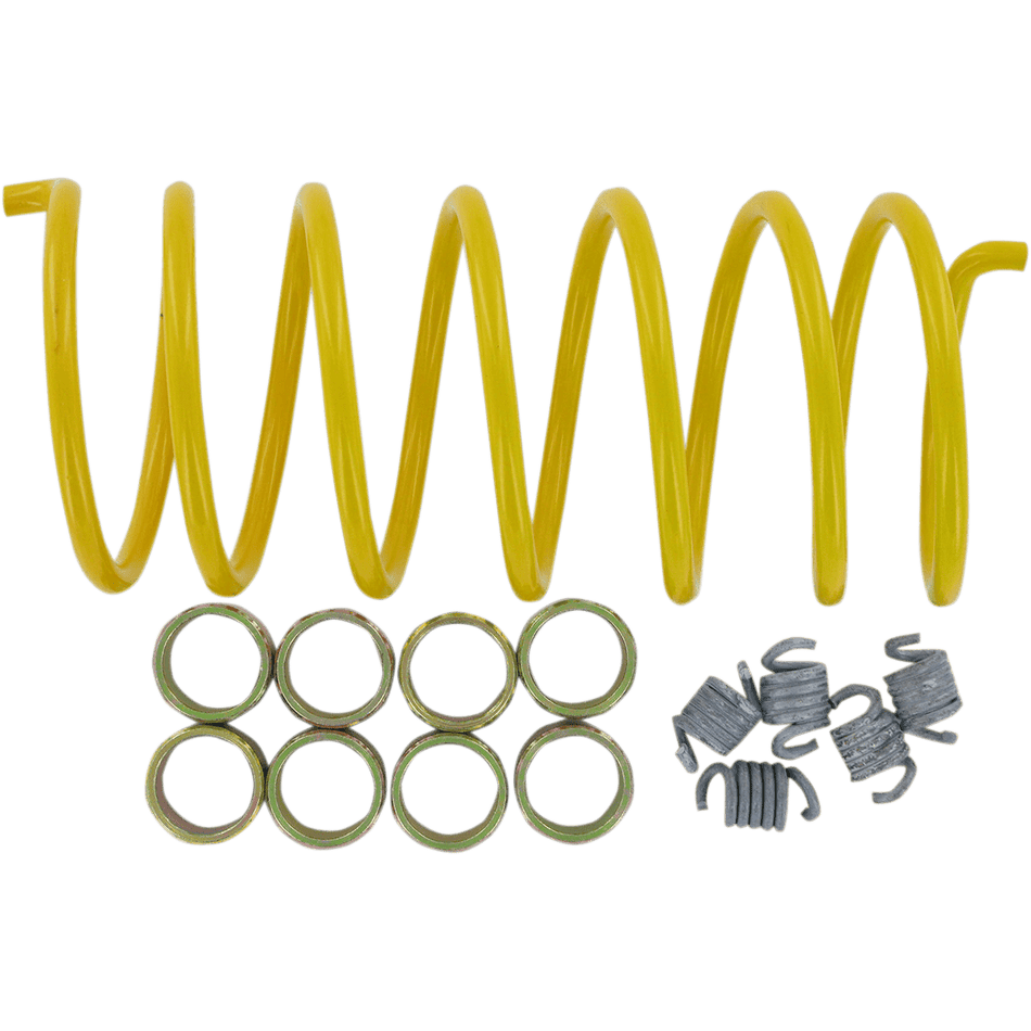 EPI Clutch Kit WE493010