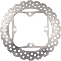 SBS Brake Rotor