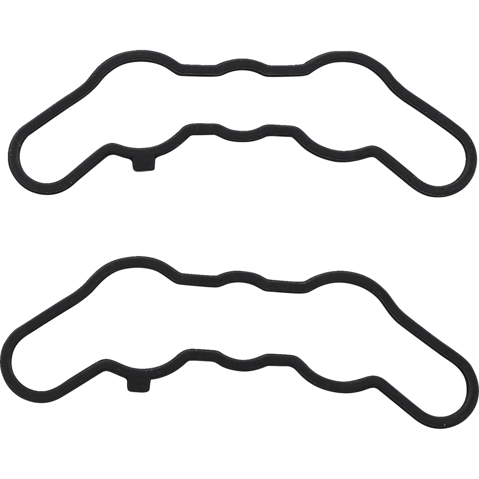 VERTEX Exhaust Valve Gasket Kit Polaris