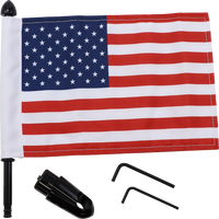 PRO PAD Flag Mount Detachable Sissy Bar 9" Pole 6" X 9" Flag BRFMRDHB765IN