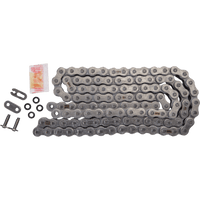 RK 520 EXW Chain 110 Links