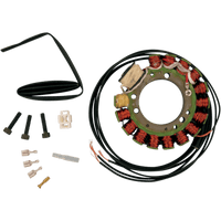 RICK'S MOTORSPORT ELECTRIC Stator Honda 21133