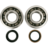 HOT RODS Crankshaft Bearings Suzuki K057