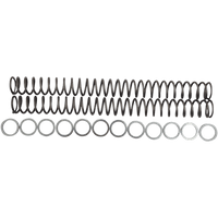 RACE TECH Fork Springs 0.48 kg/mm FRSP 434648