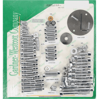 GARDNER-WESTCOTT Bolt Kit Motor Set Socket-Head P8088