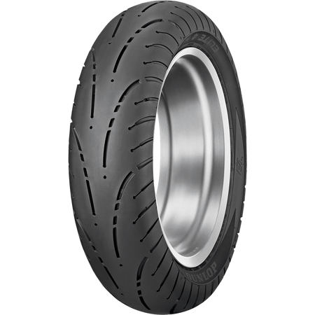 DUNLOP Tire Elite 4 Rear 250/40R18 81V 45119895