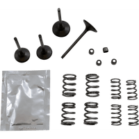 WISECO Valve Kit