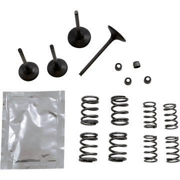 WISECO Valve Kit