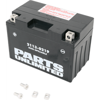 PARTS UNLIMITED AGM Battery YT12A-BS