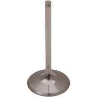 DEL WEST Intake Valve DWCRF450RIV09