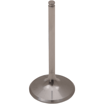 DEL WEST Intake Valve DWCRF450RIV09