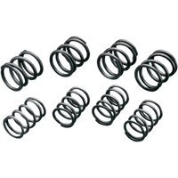 ANDREWS High-Lift Valve Springs